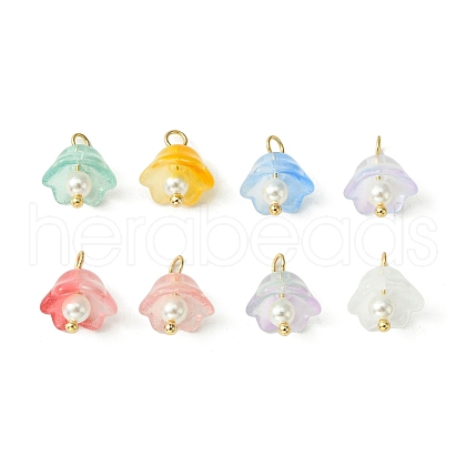 Transparent Spray Painted Glass Charms PALLOY-TA00091-1