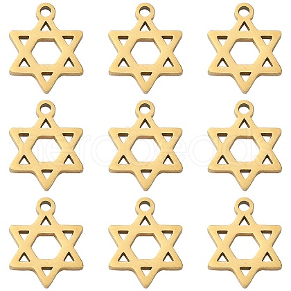 304 Stainless Steel Charms STAS-CJC0008-04G-1