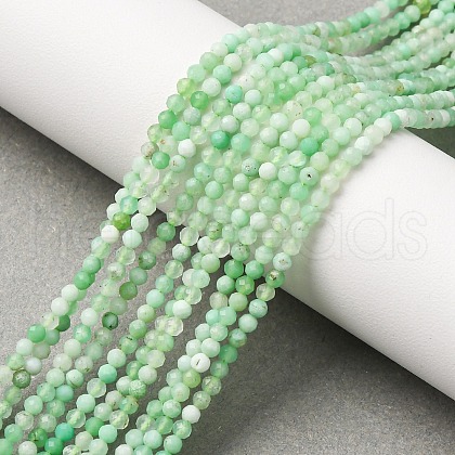 Natural Chrysoprase Beads Strands G-C196-A02-2mm-1