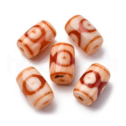 Tibetan Style dZi Beads TDZI-NH0001-E05-05D-1