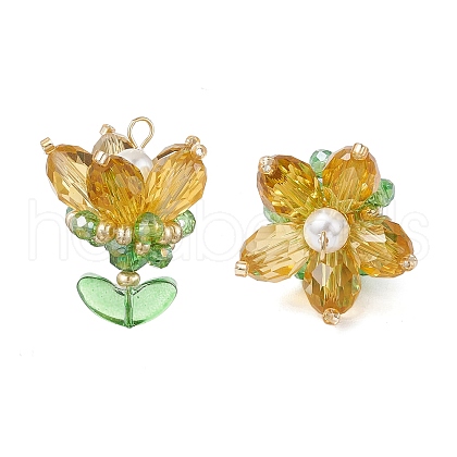 Transparent Glass Pendants PALLOY-MZ00722-05-1