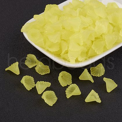 Transparent Acrylic Beads PL622-C13-1