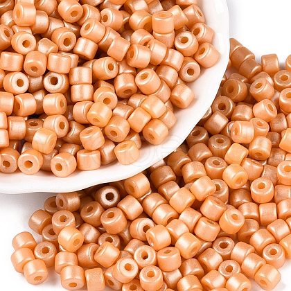 Baking Paint Pearlized Glass Seed Beads SEED-T008-03E-1
