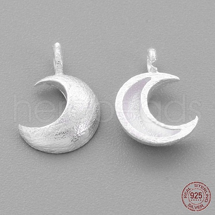 925 Sterling Silver Charms STER-G011-28MS-1