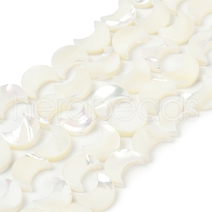 Natural White Shell Beads Strands SSHEL-10X12-1
