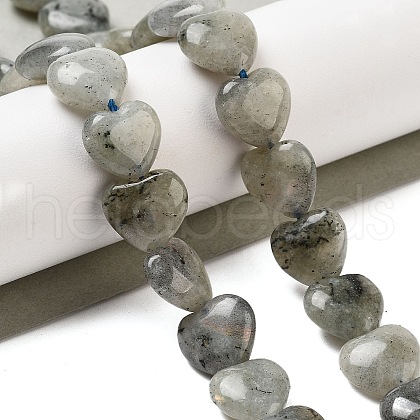 Natural Labradorite Beads Strands G-B022-32C-1