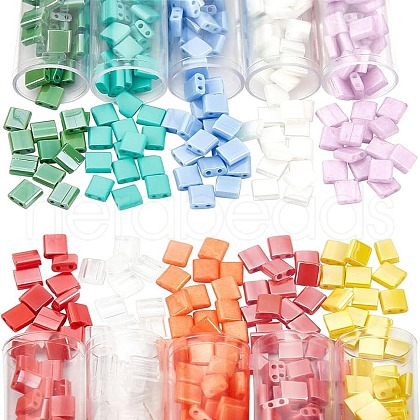  760Pcs 10 Colors 2-Hole Glass Seed Beads SEED-NB0001-35-1