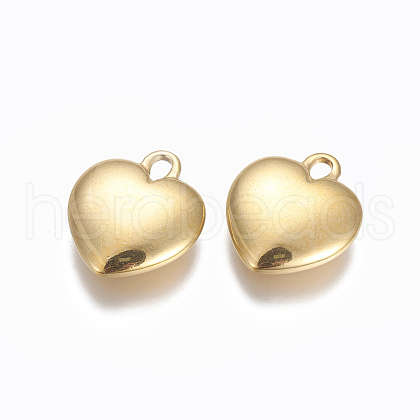 304 Stainless Steel Pendants STAS-I105-23G-1