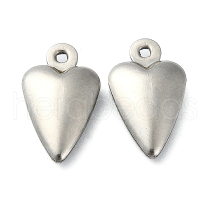 304 Stainless Steel Pendants STAS-L024-009P-1