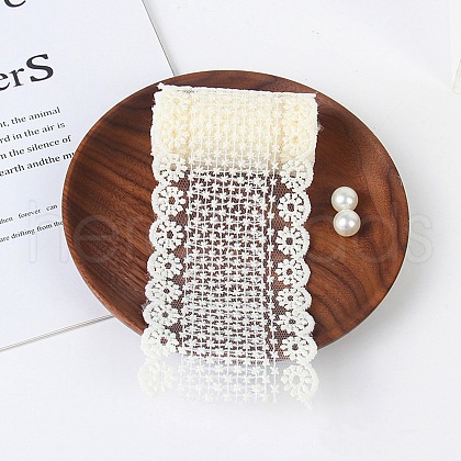 Polyester Embroidery Lace Trim PW-WG31848-03-1