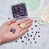 Natural Amethyst Chip Beads G-CJ0001-23-4