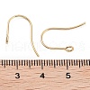 316 Surgical Stainless Steel Earring Hooks X-STAS-P162-13G-B01-3