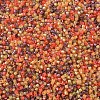 MIYUKI Delica Beads X-SEED-J020-DB2063-3