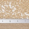 MIYUKI Delica Beads SEED-X0054-DB1561-3