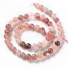 Natural Botswana Agate Beads Strands G-S362-103C-2