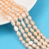 Natural Cultured Freshwater Pearl Beads Strands PEAR-P064-20J-03B-1