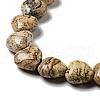 Natural Picture Jasper Beads Strands G-B022-14C-4