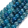 Dyed Natural Agate Beads Strands G-G203-10I-12mm-2