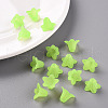 Transparent Acrylic Beads PLF018-05-7