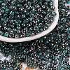 Glass Seed Beads SEED-A032-06T-1