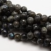 Natural Labradorite Round Bead Strands G-E251-32-8mm-1