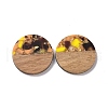 Transparent Resin & Walnut Wood Pendants RESI-N025-045-2