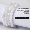 Olycraft 1 Strand Natural Rainbow Moonstone Beads Strands G-OC0005-37-4
