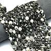 Natural Australia Zebra Jasper Beads Strands G-C116-A60-02-1