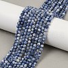 Natural Blue Spot Jasper Beads Strands G-A252-A02-4mm-1