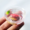 Fish Tank BOTT-PW0001-160-5