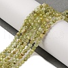 Natural Green Garnet Beads Strands G-A235-A02-02-2
