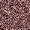 11/0 Grade A Baking Paint Glass Seed Beads X-SEED-N001-A-1047-2