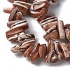 Dyed Natural Trochus Shell Beads Strands SSHEL-C013-09B-3