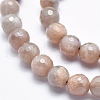 Electroplate Natural Sunstone Beads Strands G-K256-17-8mm-3