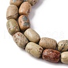 Natural Aqua Terra Jasper Beads Strands G-L624-C03-14x10mm-4