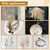   1Set Glass Beads GLAA-PH0003-62A-6