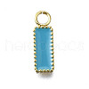 304 Stainless Steel Charms STAS-H233-11G-2
