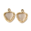 304 Stainless Steel Charms STAS-L022-515G-1