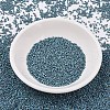 MIYUKI Delica Beads SEED-X0054-DB2316-1