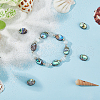 FIBLOOM 10Pcs Natural Paua Shell Beads SSHEL-FI0001-04-6