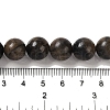 Natural Chiastolite Beads Strands G-Q161-A03-05-5