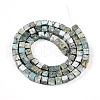 Natural Variscite Beads Strands G-T140-41B-2