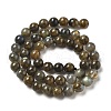 Natural Labradorite Beads Strands G-I253-01-4