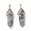 Natural Map Stone Pendants G-K329-64P-2