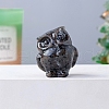 Natural Syenite Carved Healing Owl Figurines PW-WG13335-08-1