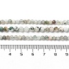 Natural Tree Agate Beads Strands G-RM250104-D6-5