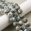 Synthetic Turquoise Beads Strands G-F791-D01-02A-1