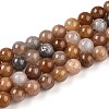 Natural Gemstone Beads Strands G-N349-01A-01-2