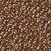 Glass Seed Beads SEED-US0003-4mm-102C-2