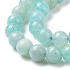 Natural Amazonite Round Beads Strands G-A025-01A-4